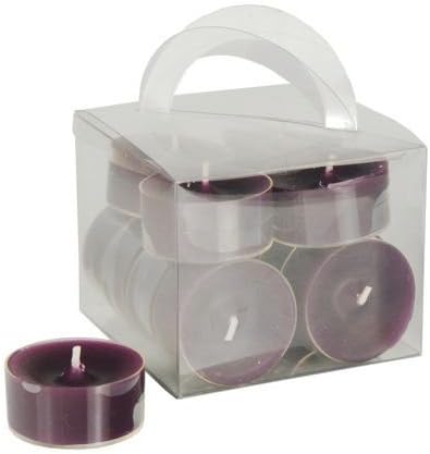 Papstar 10467, 12 completely colored tealights, diameter 38 mm, 18 mm, purple, in polycarbonate cup