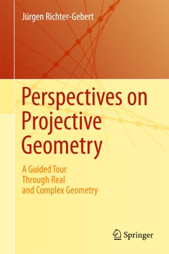 Perspectives on Projective Geometry: A Guided Tour Through Real and Complex Geometry cover