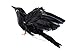 Artificial Black Feather Flying Crows - Realistic Look Fake Black Bird Crows for Haunted House Displays or Costumes and Halloween Decorating, Crafting by Factory Direct Craft (6 Pieces)
