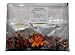 Little Pumpkins 60 Piece Sequenced Jigsaw Puzzle for Dementia and Alzheimer's