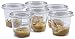 Insect Lore School Kit Refill with 33 Live Caterpillars Habitat