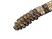 Real Rattlesnake Rattle and Tail (AZ-598-P505)