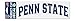 NCAA Penn State Nittany Lions 3
