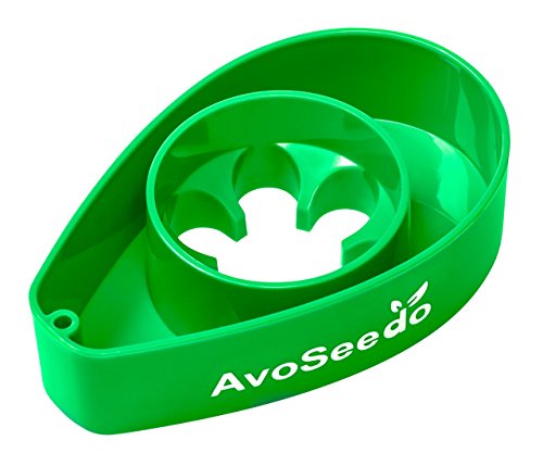 5 AvoSeedo+Avocado+Evergreen+Perfect+Growing