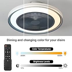 EIHIWD 20in Ceiling Fan with Lights Remote Control
