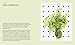 Living with Plants: A Guide to Indoor Gardening