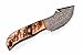 GladiatorsGuild 64R Custom Handmade Damascus Steel Skinner Hunting Knife Fixed Blade Small Skinning Knife with Gut Hook (Ram Horn)