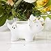 Kate Aspen Dinosaur Ceramic Planter, One Size, White