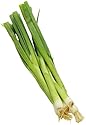 Organic Green Onion (Scallions), One Bunch