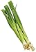 Organic Green Onion (Scallions), 1 Bunch