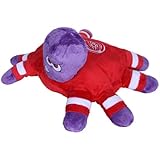 NHL Detroit Red Wings Pillow Pet