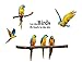 SWORNA Nature Series SN-60 6 Macaw Parrot Vinyl Removable DIY Wall Art Mural Nursery Sticker Decor Decal for Baby Kids Girl Bedroom Playroom Bathroom Kindergarten Living Room Classroom 29