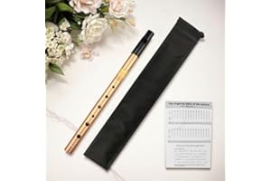 Irish Flute C & D Tuning, Metal Brushed Tube, Suitable for Beginners & Experts, High Pitch Range, Entry Level Flute Set with 