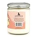 Pet's Favorite - Tested & Proven - Odor Eliminating Candle in 4 Great Fragrances, Pet-Friendly Scented Candle - 70-Hour Burn Time, Cotton Wick - French Vanilla