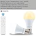 AmeriLuck Remote Control LED Light Bulb Kit, Adjustable Color Temp, One-to-many Group-able, Perfect for Any Applications (2 Bulbs + 1 Remote)