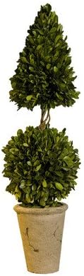 Preserved Boxwood Cone and Ball Topiary, 25-Inch