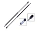 2 Pieces (Set) Tuff Support Back Glass Lift Supports : 1994 To 2005 Chevrolet Blazer, 1995 To 2004 Oldsmobile Bravada, 1995 To 2005 Gmc Jimmy 4 Door Drop Gate Model Only