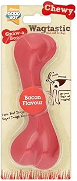 black and silver long haired german shepherd