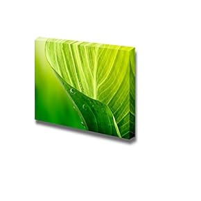 Canvas Prints Wall Art - Green Leaf Background | Modern Wall Decor/Home Decoration Stretched Gallery Canvas Wrap Giclee Print. Ready to Hang - 12" x 18"