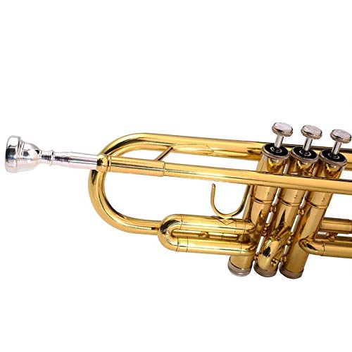 MrBigDeal Beginner Trumpet in Gold Bb Kids Musical Brass Body ,Care Kit ,Case