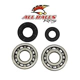 All Balls Crank Bearing and Seal Kit 24-1029