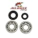 All Balls Crank Bearing and Seal Kit 24-1029
