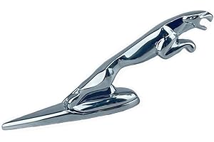 Cars Hood Cover Hood Ornament for Trucks, Logo Decorative Ornaments，Metal 3D