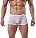 Winday Men Briefs Breathable Ice Silk Boxer Bikinis and Briefs 4 packs (Multi-colored) XL/US L