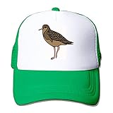 Bird Style Wings Feathers Sandpiper Baseball Cap