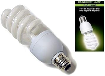 13 watt uvb bulb
