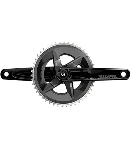 Amazon.com : Sram JG.BIE.POTEN.SRAM RIV.Wide Qua.Dub DM 175 40D AL