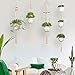 Elf House Macrame Plant Hangers Holder Outdoor - Large Indoor Wall Hanging Planter Hanger with Hooks Flower Pot Holder Decoration, Boho Home Decor Gift Box 4-in-1