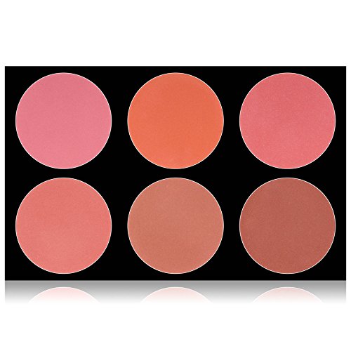 SHANY The Masterpiece 6 Colors Large Makeup Blush Palette - SHE'S NOT SHY