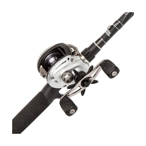 Abu-Garcia-Silver-Max-Combo