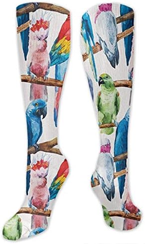 High sock Colorful Parrots Compression Socks for Women & Men by Best for Running, Athletic Sports, Crossfit, Flight Travel Suits Nurses, Maternity Pregnancy Below Knee High(19.69inch)