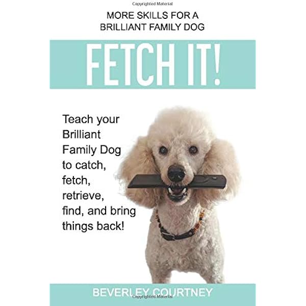 Fetch It Teach Your Brilliant Family Dog To Catch Fetch Retrieve Find And Bring Things Back Courtney Beverley 9781090749758 Amazon Com Books
