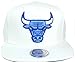 Mitchell & Ness Powder Blue Chicago Bulls White Snapback