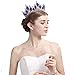 Vintage Rhinestones Crystal Crown for Women Wedding Bridal Tiara Flower Crown Hair Accessories (gold-blue)