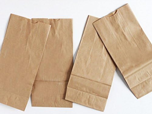 BonBon Paper Kraft Brown Paper Treat Lunch Bags (Med-Large 100 pc)