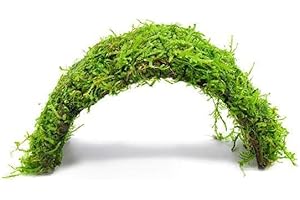 SubstrateSource Live Planted Decor - Christmas Moss (Vesicularia montagnei) on Coconut Shell Bridge - Low Light, Green Freshwater Aquatic Plant, Foreground Aquarium Placement for Aquascaping - 1 Pack