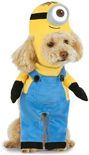 Rubies Costume Company Minion Stuart Arms Pet Suit