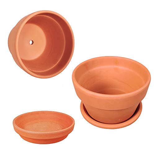 4 Pack 6 Inch Terracotta Shallow Succulent Pot Terra Cotta Clay Pots with Saucer, Cacuts Terra