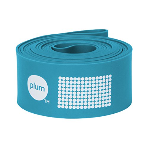 The PlumBand Stretch Band for Dance and Ballet - Colors and Sizes for Kids & Adults - Improve Your S - //medicalbooks.filipinodoctors.org