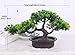 Artificial Plants Bonsai Welcoming Pine Tree Pot Desk Display Simulation Fake Tree Ornaments Mini Bonsai Tree Pot Plants Vivid Potted Artificial House Plants Living Room Garden Decoration Party Decor
