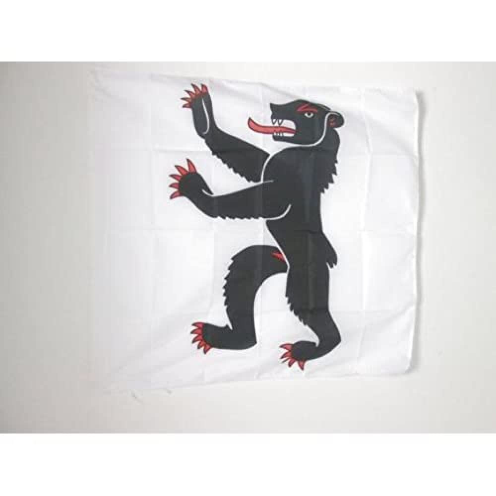 AZ FLAG - Canton of Appenzell Ausserrhoden Flag - 3x3 Ft - 100% Polyester Appenzell Ausserrhoden - AR Banner with Sleeve - Fade Resistant - Vivid Colors - 3' x 3' Feet - 90x90 Cm