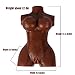 Xise Realistic 3D Love Doll Sex Toys for Men Male Masturbator with Vagina and Anal Discreet Package,13 Pound (Brown)