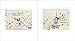 Philip Guston: Nixon Drawings: 1971 & 1975