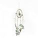 Roser Life Modern Wall Dream Catcher Decor Mobile,Handmade Hanging Boho Dream Catchers,for Bedroom Kids Baby Women Men Boys Girls Nursery Teepee Home Party Outdoor Garden Green Cactus,Pack of 1