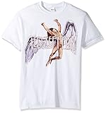 FEA Men's LED Zeppelin colorful Swan Song T-Shirt, White, Large