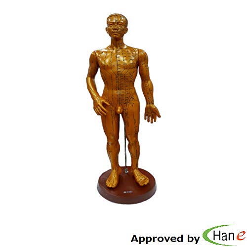 image for H.E 50cm(20